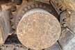 Doosan DX300LC-5