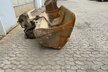 Winkelbauer Grabenräumlöffel schwenkbar 1800mm