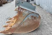 Rädlinger Tieflöffel 800mm