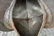 HGT Mehrschalengreifer MT4.6-600 HG