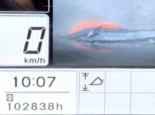 Hitachi ZW310-6