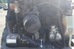 Hitachi ZW95-6