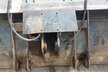 LRT Niederhalterschaufel 2900mm