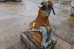 Demarec Abbruchgebiss MQP25C