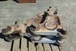 Demarec Abbruchgebiss MQP30C