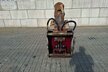 Demarec Betonpulverisierer starr DSP30 extreme