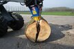 Giant Bohreinheit inkl. Kegelspalter und Baumstumpfbohrer