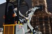 Giant Der Giant G1100 Kompaktradlader