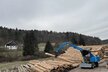 Fuchs MHL434F - Die Holzumschlagmaschine