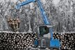 Fuchs MHL434F - Die Holzumschlagmaschine