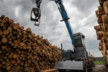 Fuchs MHL434F - Die Holzumschlagmaschine