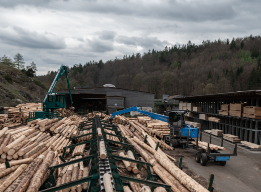 Effizienter Holzumschlag