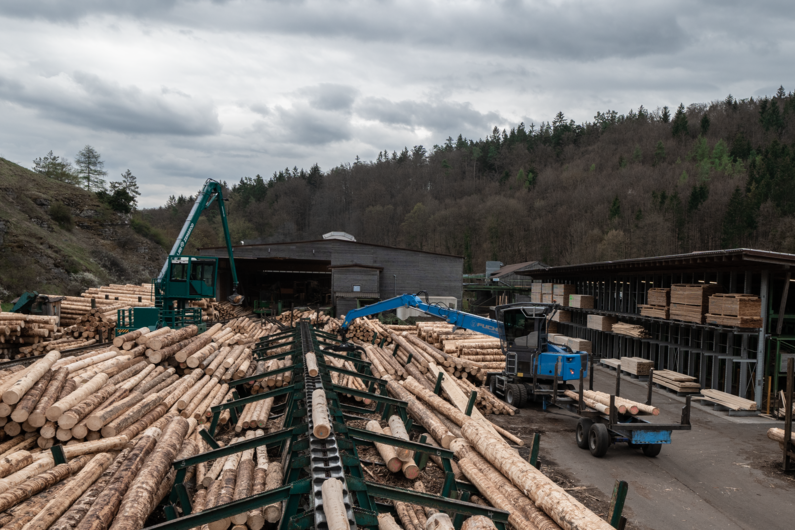 Fuchs MHL434F - Die Holzumschlagmaschine