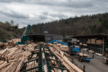 Fuchs MHL434F - Die Holzumschlagmaschine