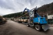 Fuchs MHL434F - Die Holzumschlagmaschine