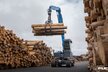 Fuchs MHL434F - Die Holzumschlagmaschine