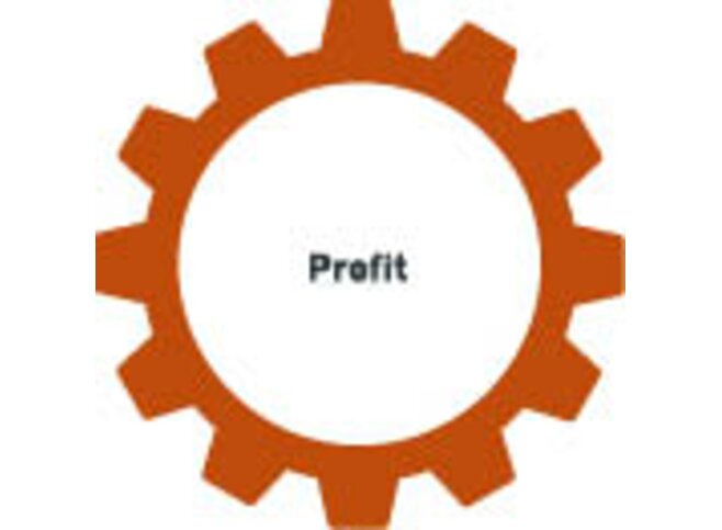 Steigerung des Profits